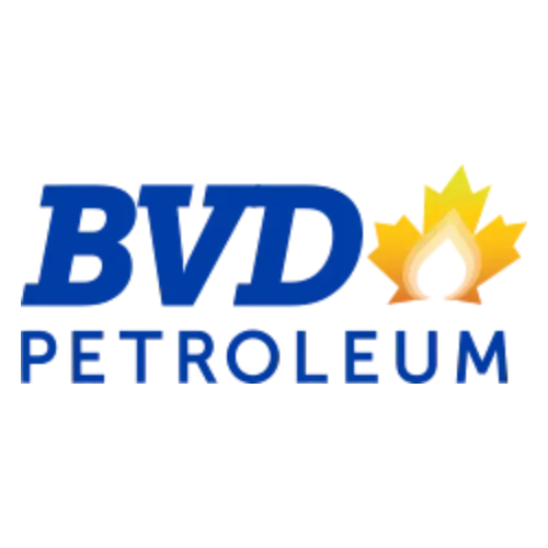 BVD Logo